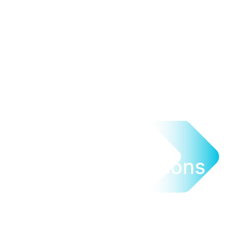 FBS HSIPT User Licenses